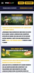 Winolot móvil pantalla 2